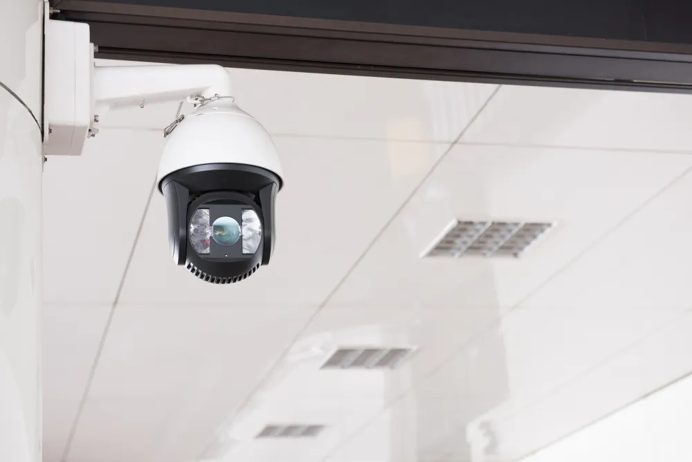 Cameras in Security